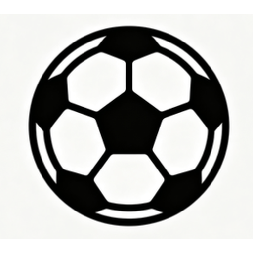 黑白体育logo
